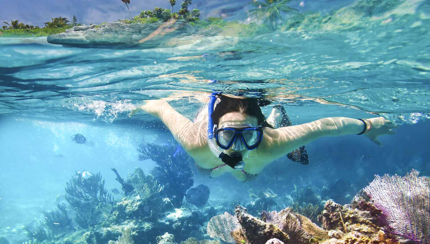 The Switzerland Holidays