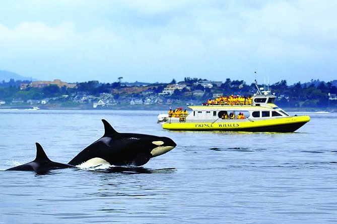 The Switzerland Holidays