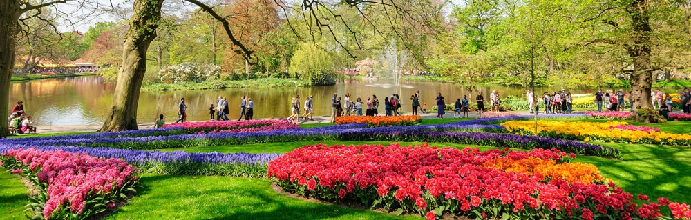 The Switzerland Holidays