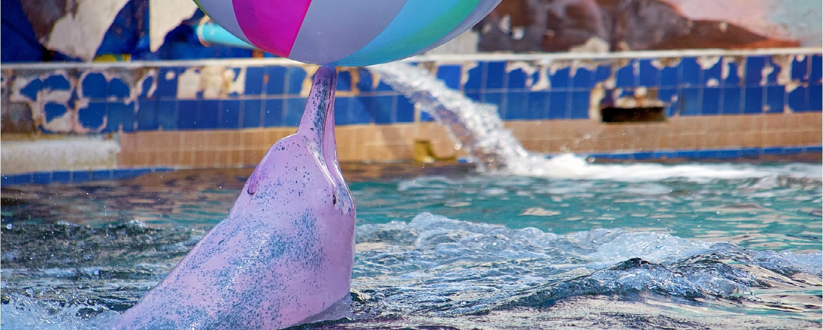 The Switzerland Holidays