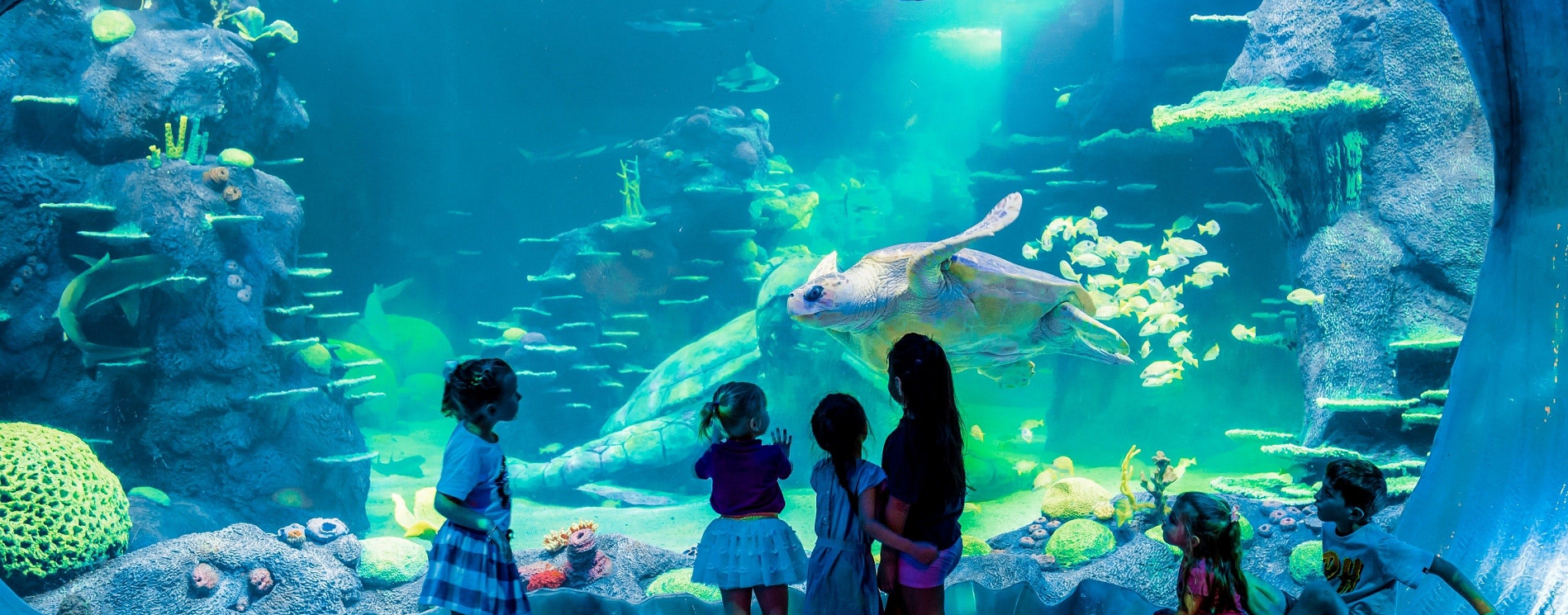 The Switzerland Holidays